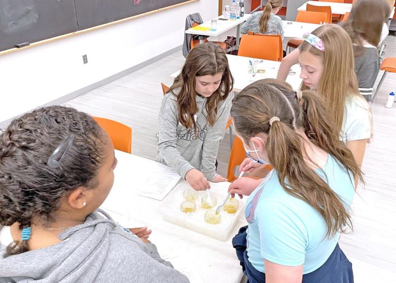 April 15 event allows girls deeper  dive into science, math