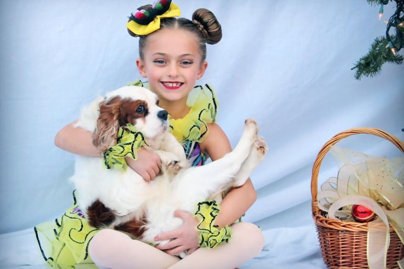 Dancers highlight adoptable pets in ‘The Muttcracker’