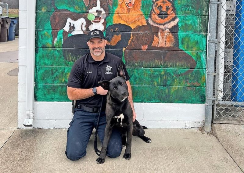 Dog licenses available in Holmes Co. starting Dec. 1