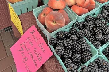 Downtown Wooster Farmers Market opening soon
