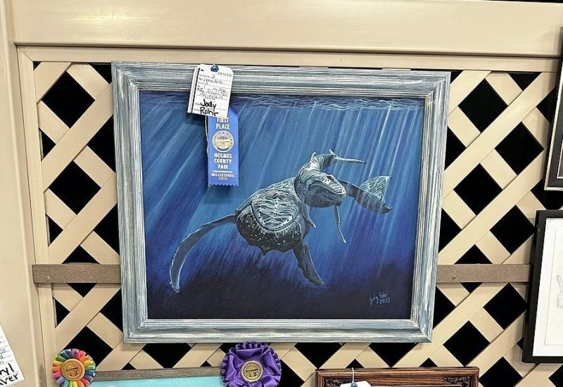 Fair Home Arts Show offers a glimpse of Holmes Co. talent
