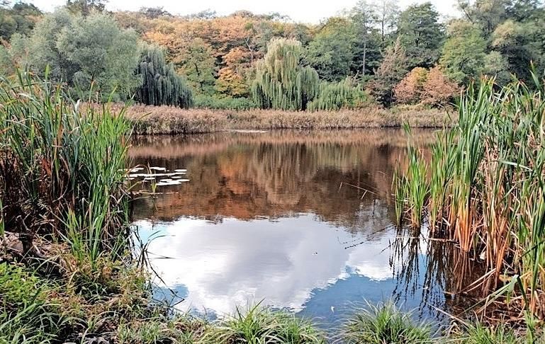 Free Wayne SWCD pond clinic is set for March 11 in Wooster