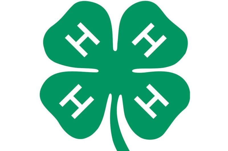 Happy Harvesters 4-H club continue online mee