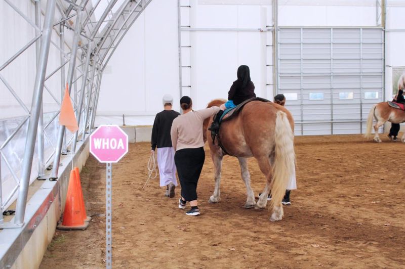 Healing with horses: Hearts & Hoofbeats continues equine therapy