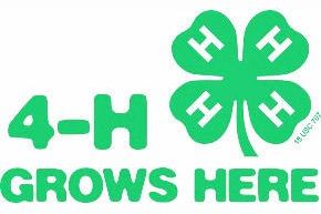 Holmes 4-H clubs hold meetings