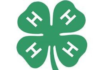 Holmes County 4-H clubs hold meetings