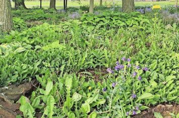 Holmes garden tour for benefit of OneEighty