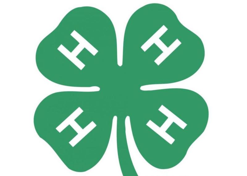 Lakeville Lakers 4-H Club meets