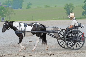 Memorial Day Benefit Pony Event a unique take on fundraising