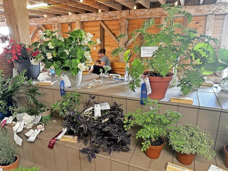 Prep your flowers with Holmes Co. Fair Home Arts Show seminar