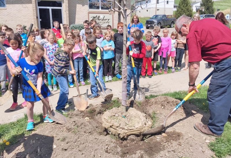 Tree City helps clean up Millersburg