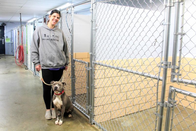 Tuscarawas County Dog Pound makes improvements