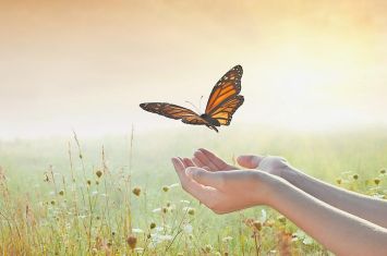 TuscParks to host butterfly exhibit July 10-20 at NJC
