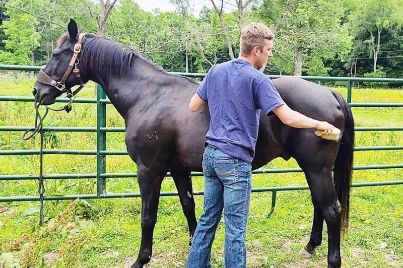 West Holmes FFA teens accomplishing big things