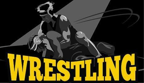 WHS matmen have experience; Titans need numbers