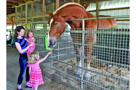 Hershberger's Farm and Bakery