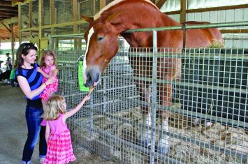 Hershberger's Farm and Bakery