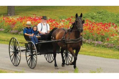 Ohio's Amish Country Magazine